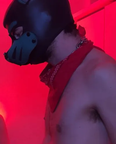 Pup Arrow